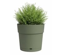 Vaso - ARTEVASI - CAPRI - Grande - Riserva d'acqua - Verde Cenere - L39,1 x P39,1 x H37 cm