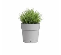 Vaso Artevasi Capri Large 30 cm Autorriga Grigio Chiaro Serbatoio Acqua