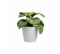 ARTEVASI Vaso San Remo 36 cm Bianco