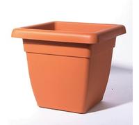 Vaso Atena Quadro 30x30