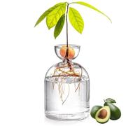 VASO AVOCADO PER CRESCIRE, VASTO DI AVOCADO AVOCADO da 5,3 pollici, vaso di semi di avocado trasparente, kit di coltivazione dell'albero di avocado, vaso a vaso di piccole piante per il radicamento d