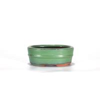 Vaso bonsai ovale 11 cm smaltato verde
