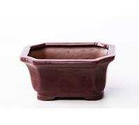 Vaso bonsai rettangolare 17 cm smaltato prugna