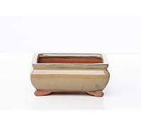 Vaso bonsai smaltato rettangolare cm. 16 Beige