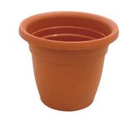 Vaso Campana Thea Ø 26 mm CMX21H. Ics 12 Pezzi