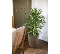 Capi Europe - Vaso elegante basso Groove NL - 46 x 58 - Oro - Apertura Ø38 - Vaso da fiori per uso interno ed esterno infrangibile - 100% riciclabile - KGVGB783