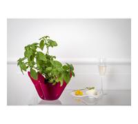 Vaso, Centrotavola, Forma Iconica in Plexiglass SLIM Linea Drappeggi D'AUTORE Dimensioni 22x21x h 21 cm - 0,5 kg Colore Fuxia Trasparente fuxia