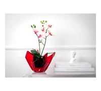 Vaso, Centrotavola, Forma Iconica in Plexiglass SLIM Linea Drappeggi D'AUTORE Dimensioni 22x21x h 21 cm - 0,5 kg Colore Rosso Trasparente rosso