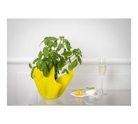 Vaso, Centrotavola, Forma Iconica in Plexiglass SLIM Linea Drappeggi D'AUTORE Dimensioni 22x21x h 21 cm - 0,5 kg Colore Giallo Trasparente giallo