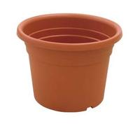 Vaso Cilindro Dahlia Ø 30 mm CMX21H. Ics 12 Pezzi