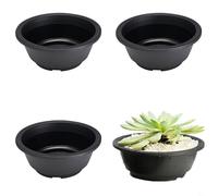 Vaso circolare in plastica con fori di drenaggio e texture opaca, progettato per lo sviluppo di radici di piante grasse e piccole (C)
