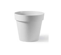 Vaso Cleo Rotondo