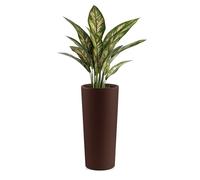 Vaso Clou Tondo con cache-pot 65 cm Cioccolato