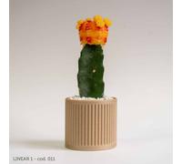 Vaso Compostabile in Bioplastica di Mais - Oku Acacia 6 CM Origami 2