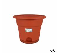 Vaso con Piatto Dem Greentime Marrone ø 35 x 28,5 cm [6 Unità]