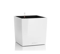 Vaso Cube 30 Lechuza Set Completo 30 cm Rosso Lucido