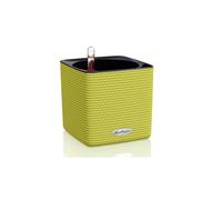 Vaso Cube Color 14 Lechuza Set Completo 14 cm Bianco