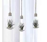 Vaso da appendere in a forma di lampadina da 2 pezzi Contenitore