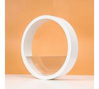 Vaso da appendere resistente al sole per piante grasse con fori di drenaggio, progettato per resistere agli elementi esterni tutto l'anno (bianco)