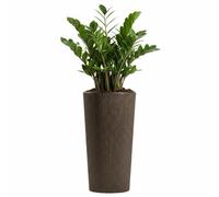 Vaso da caffè espresso Urbanika, altezza 36,4 x 19,6 cm
