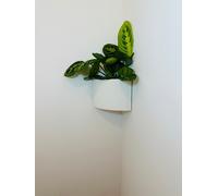 Vaso da fiore ad angolo fissaggio a parete moderno texture 3D a righe