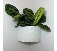 Vaso da fiore angolo strisce oblique