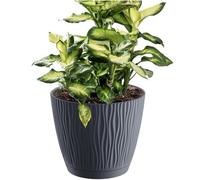 Vaso da fiori 2,3L Sandy P 16,8x16,8x15,7 cm, Antracite