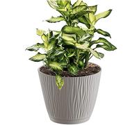 Vaso da fiori 2,3L Sandy P 16,8x16,8x15,7 cm, Mocca