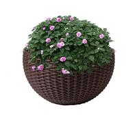 Vaso da fiori a semicerchio da appendere alla parete, per interni ed esterni, in finto rattan, cestino da appendere alla parete, supporto ad anello, decorazione da giardino con foro e ganci