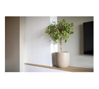 E_0002_S71007857 Capi Europe Vaso Capi Europe Plastica Ø 35 cm 35 x 35 x 34 cm C