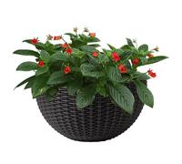 Vaso da fiori da parete, in finto rattan, per piante, elegante contenitore semicircolare decorativo per orchidee impatiens, begonie, pothos, petunie
