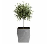 Vaso da fiori Flore in cemento grigio, altezza 41x39,5x39,5 cm