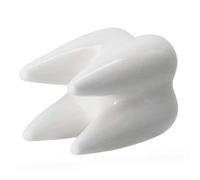 Vaso Da Fiori Forma Di Dente Decorazione Fiorità in Ceramica Molare