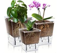 Vaso da fiori idroponico quadrato in plastica trasparente, con sistema di auto-irrigazione, design moderno e multifunzionale, adatto per piante come piante ragno, orchidee, violette africane, soddisfa