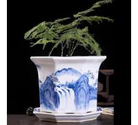Vaso da Fiori in Porcellana Bianca e Blu Piccole Piante succulente Decorazioni asiatiche Vive Vaso da Fiori in Ceramica Vaso da Giardinaggio succulento Fioriera in Ceramica Cinese Vasi per Piante