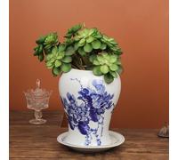 Vaso da Fiori in Porcellana Bianca e Blu Piccole Piante succulente Mini Piante grasse Vive Decorazione Asiatica Fioriera in Ceramica Vaso da Giardinaggio succulento Fioriera in Ceramica Cinese Vasi