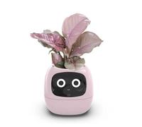 Vaso da fiori intelligente per piante da interno, regalo per l'allestimento