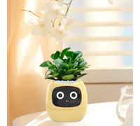 Vaso da fiori intelligente per piante da interno, regalo per l'allestimento