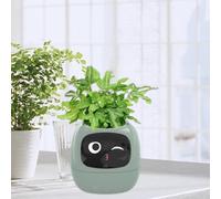 Vaso da fiori intelligente per piante da interno, regalo per l'allestimento