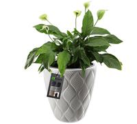 KADAX vaso da fiori con inserto e manici, 30 cm, bianco, basso