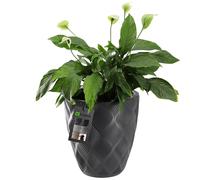 KADAX Vaso da fiori con inserto e manici, fioriera in plastica, antracite