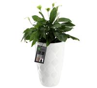KADAX vaso da fiori con inserto e manici, in plastica, 58,5 cm, bianco