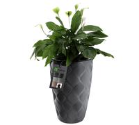 KADAX Vaso da fiori con inserto e manici, in plastica in 5 misure, vaso resistente ai raggi UV, vaso alto resistente alle intemperie, vaso con effetto 3D (antracite alto)