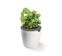 Vaso da fiori LazyLeaf