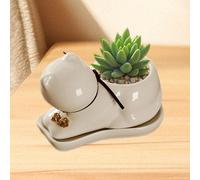 Vaso da fiori multiuso per succulente per tavolo da pranzo