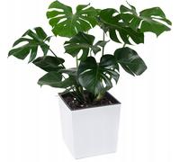 Vaso da fiori nero bianco 40 x 40 cm fioriera lucida sopravaso inserto per...