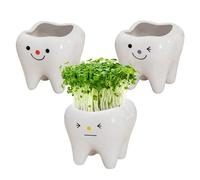Vaso da fiori per denti, fioriera per denti - Vasi per piante grasse a forma di dente da 3 pezzi - Fioriera per cactus per donne, mamme compleanni, contenitore per piante grasse, decorazione da tavo