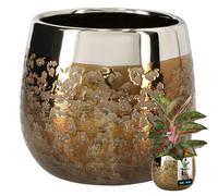 Vaso da fiori rotondo dorato effetto specchio, 14 cm, in ceramica.