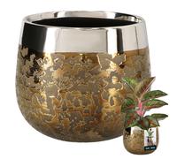 Vaso da fiori rotondo in ceramica con effetto specchio dorato, 12,5 cm.
