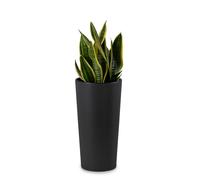 Vaso da fiori Urbanika ECO nero, altezza 36 cm